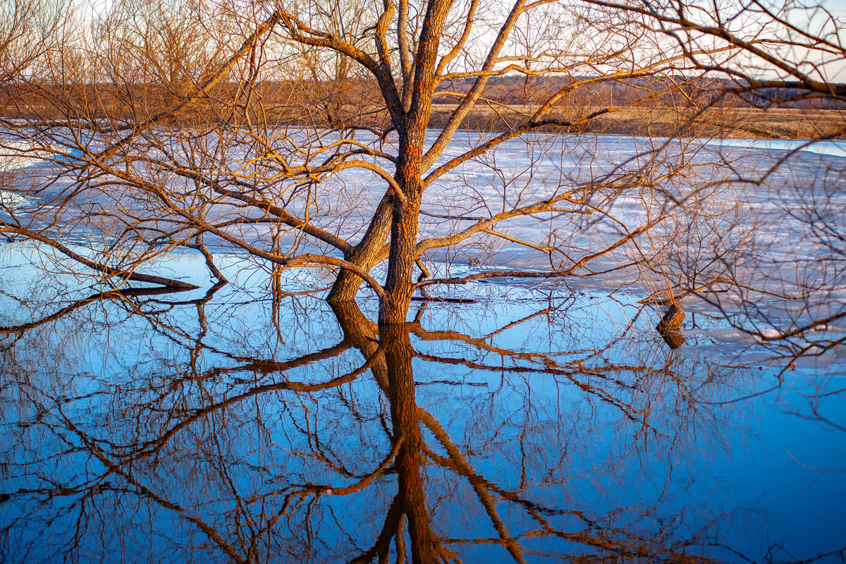 Разлив Нерли на Боголюбовском заливном лугу – явление в этом году особенно интересное. Там еще местами лежит снег, будто зима и весна встретились вместе. От красоты такого сочетания мурашки идут по телу даже у самых искушенных любителей природы!