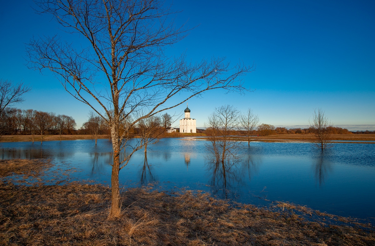 Разлив Нерли на Боголюбовском заливном лугу – явление в этом году особенно интересное. Там еще местами лежит снег, будто зима и весна встретились вместе. От красоты такого сочетания мурашки идут по телу даже у самых искушенных любителей природы!