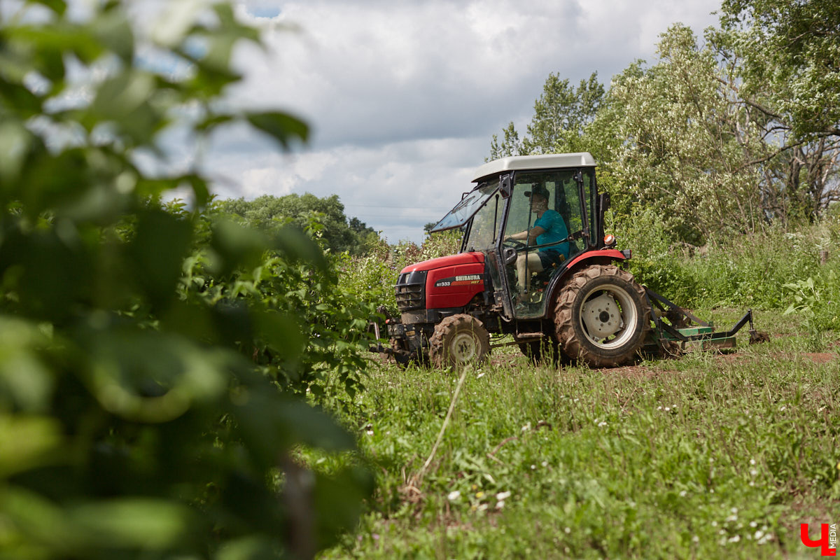Для тех, кто готов к битве за урожай, Горьковская железная дорога запускает дополнительные поезда для дачников.