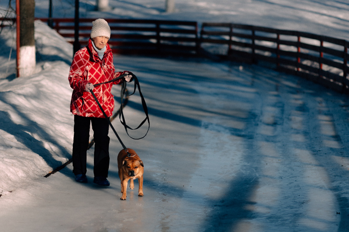 Фотографы области делятся городскими снимками, отражающими переменчивую сущность апреля. Здесь в лужах отражаются постройки, снег блестит на солнце, горожане бродят по улицам, а цветы пробивают себе дорогу, несмотря на заморозки.