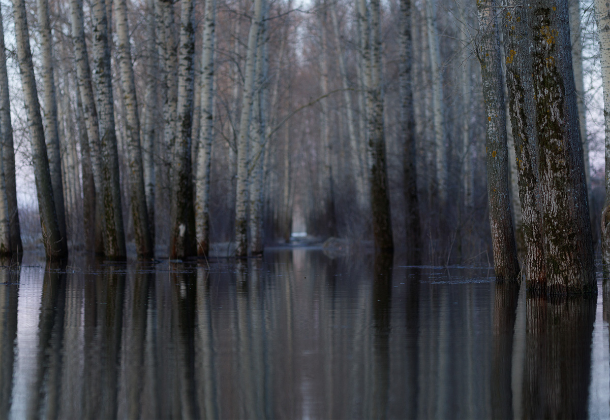 Фотографы области делятся городскими снимками, отражающими переменчивую сущность апреля. Здесь в лужах отражаются постройки, снег блестит на солнце, горожане бродят по улицам, а цветы пробивают себе дорогу, несмотря на заморозки.