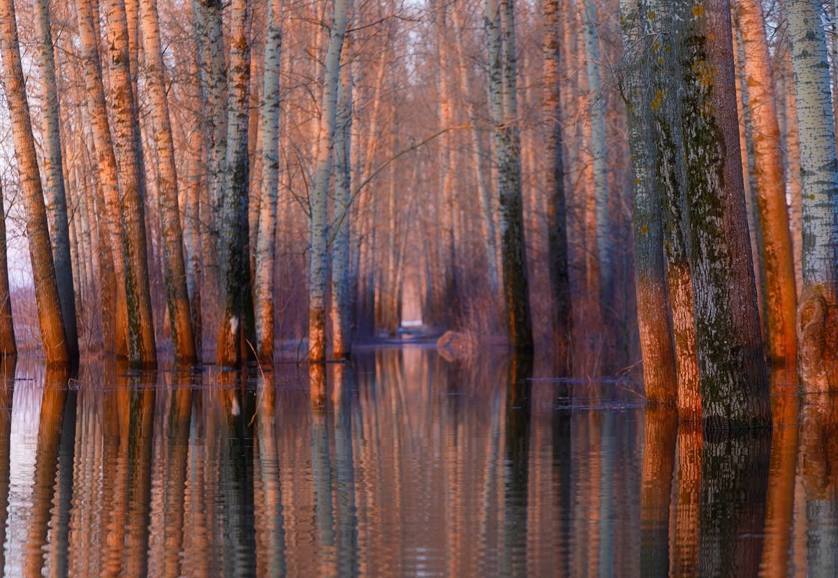 Фотографы области делятся городскими снимками, отражающими переменчивую сущность апреля. Здесь в лужах отражаются постройки, снег блестит на солнце, горожане бродят по улицам, а цветы пробивают себе дорогу, несмотря на заморозки.