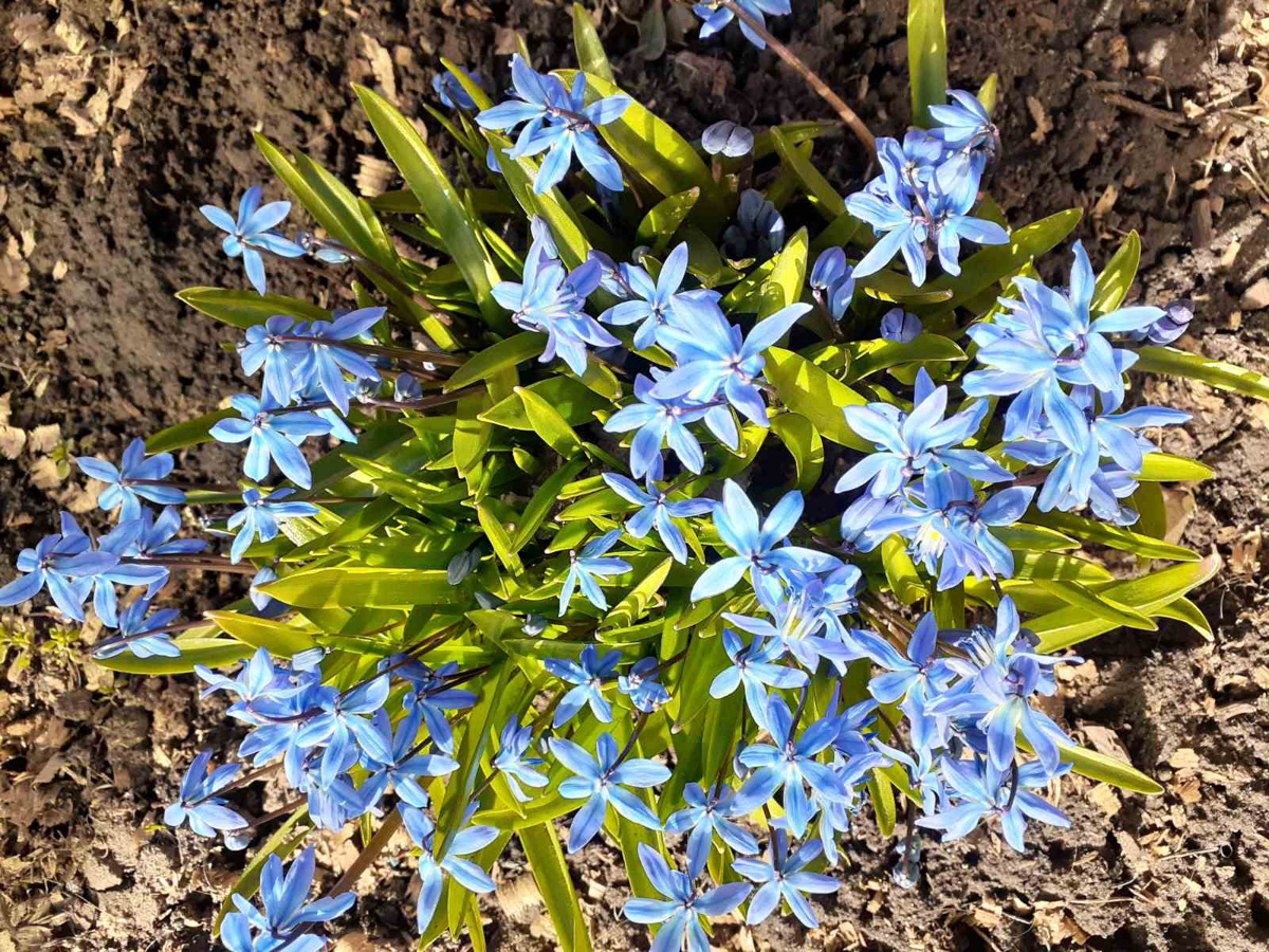 Фотографы области делятся городскими снимками, отражающими переменчивую сущность апреля. Здесь в лужах отражаются постройки, снег блестит на солнце, горожане бродят по улицам, а цветы пробивают себе дорогу, несмотря на заморозки.