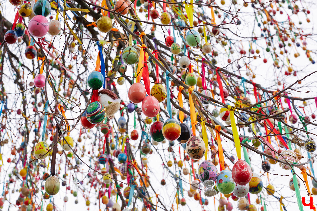 Около 10 000 пасхальных яиц украсили двадцатиметровую липу в парке Пушкина во Владимире. Раскрашенные деревянные заготовки развешивали с автовышки почти целый день – было очень много желающих принять участие в популярной акции. В этом году более 4000 владимирцев и более 270 организаций трудились для Пасхального дерева. Мало того, акция вышла за пределы региона – заготовки отправились в 27 российских городов и 7 стран!