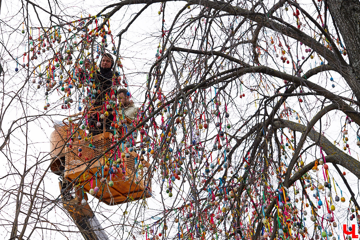 Около 10 000 пасхальных яиц украсили двадцатиметровую липу в парке Пушкина во Владимире. Раскрашенные деревянные заготовки развешивали с автовышки почти целый день – было очень много желающих принять участие в популярной акции. В этом году более 4000 владимирцев и более 270 организаций трудились для Пасхального дерева. Мало того, акция вышла за пределы региона – заготовки отправились в 27 российских городов и 7 стран!