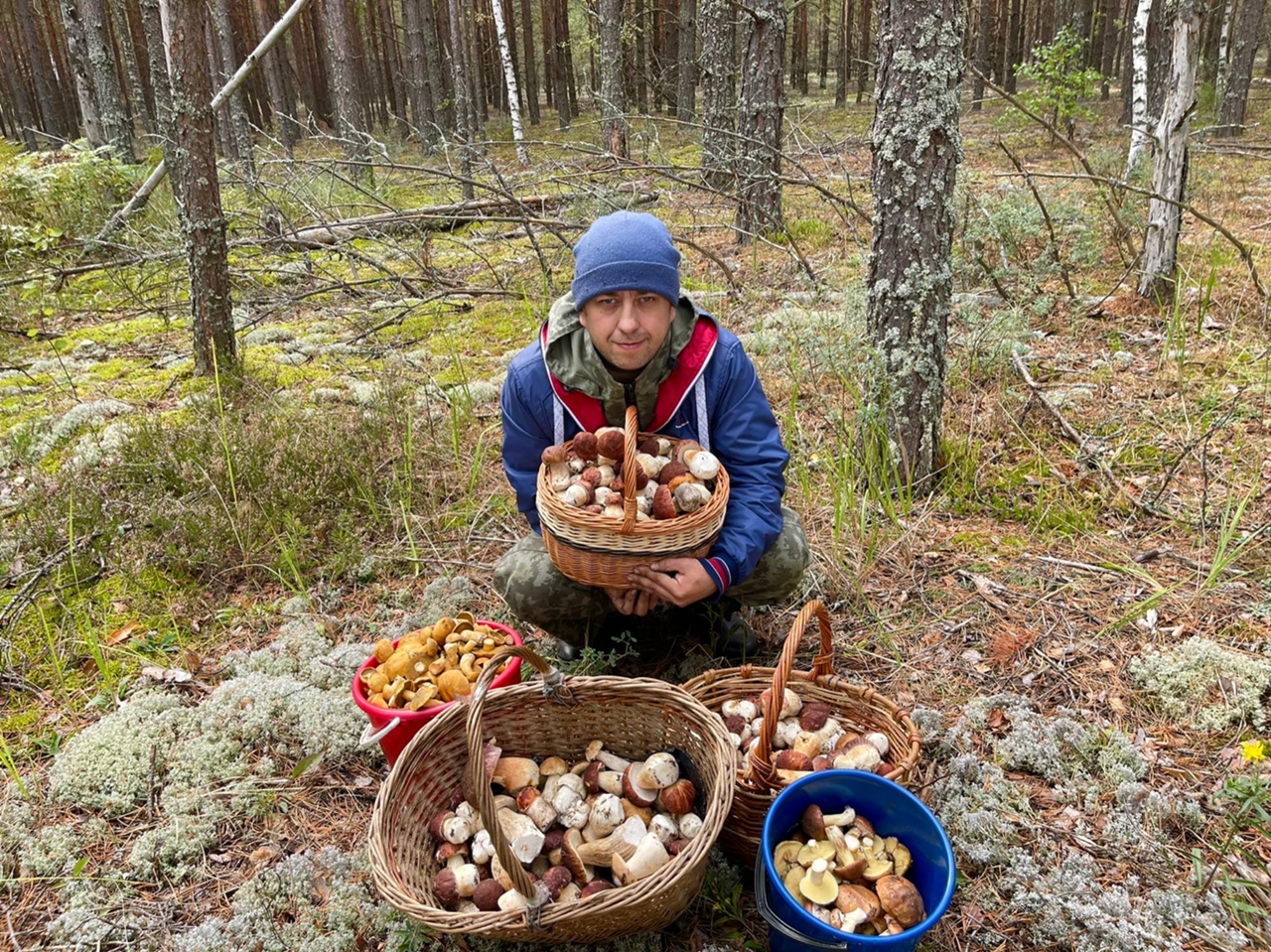 В соцсетях владимирцев периодически мелькают художественные кадры с корзинками и первой грибной добычей в них. «Ключ-Медиа» узнал у заядлого любителя тихой охоты, за какими экземплярами можно уже отправиться в ближайшие выходные! Тем более что дождей на этой неделе было предостаточно.