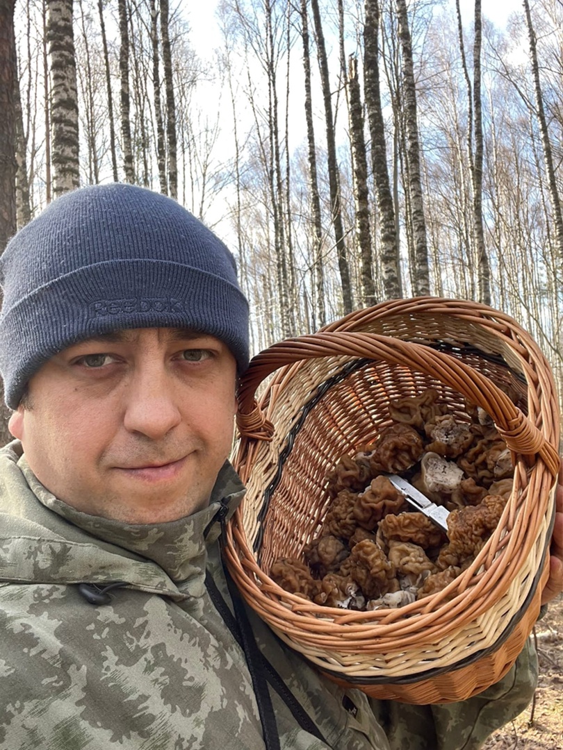 В соцсетях владимирцев периодически мелькают художественные кадры с корзинками и первой грибной добычей в них. «Ключ-Медиа» узнал у заядлого любителя тихой охоты, за какими экземплярами можно уже отправиться в ближайшие выходные! Тем более что дождей на этой неделе было предостаточно.