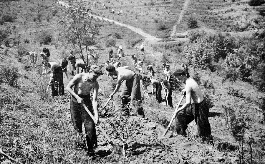 На улице Козлов Вал всего лишь одна левая сторона и несколько построек общественного назначения. Здесь сохранилась часть древней оборонительной насыпи, старая водонапорная башня и Патриарший сад. Сюда жители и гости города приходят любоваться красотой окружающей природы, в которую гармонично вписываются памятники истории и архитектуры.