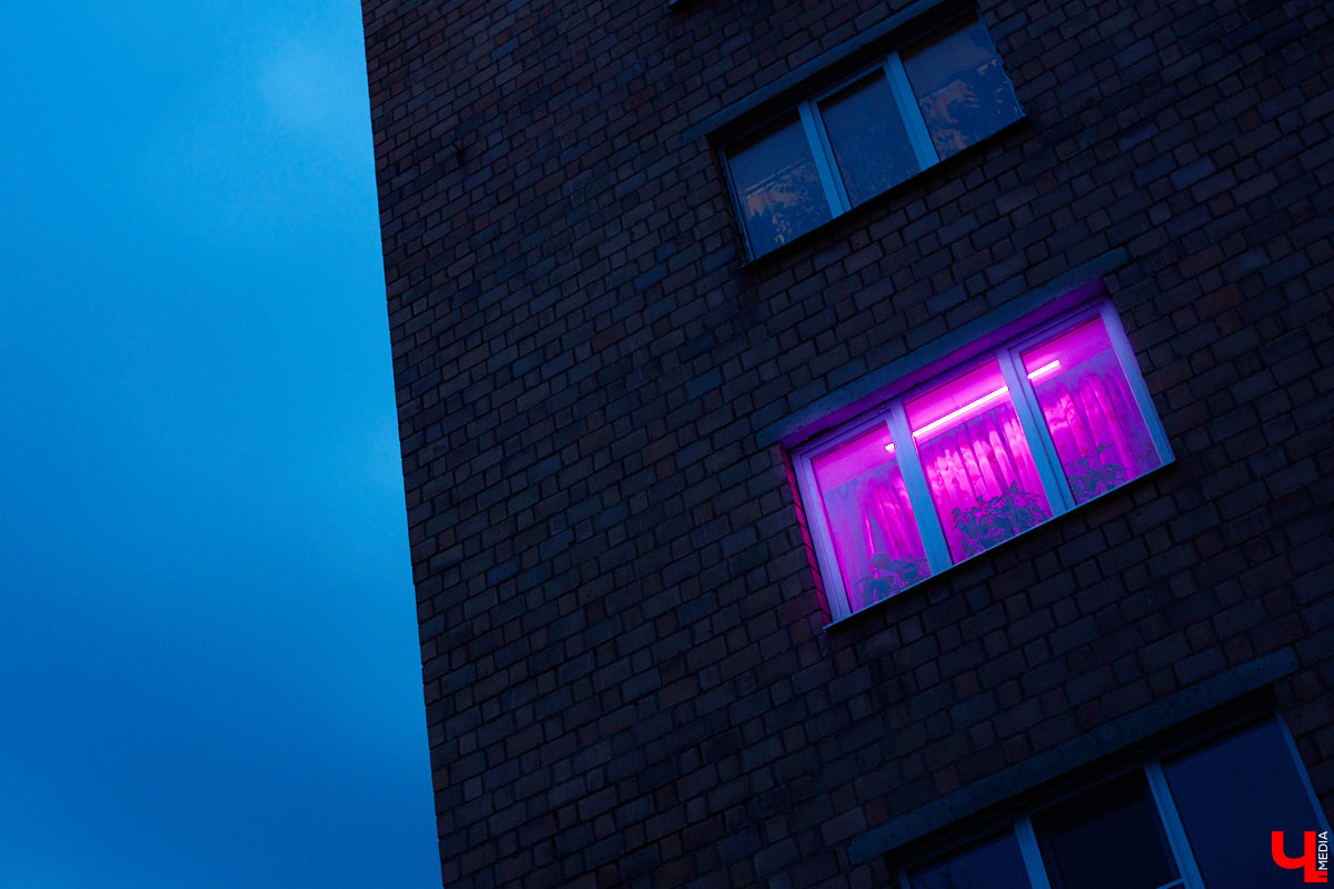 С приходом весны фиолетовые окна можно заметить почти в каждом многоэтажном доме. Кто их зажигает, а главное — зачем? «Ключ-Медиа» раскрывает все карты.