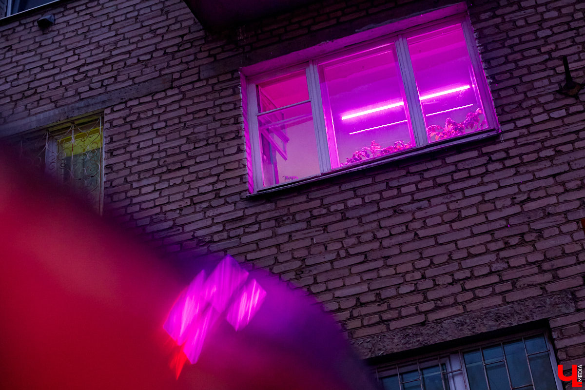 С приходом весны фиолетовые окна можно заметить почти в каждом многоэтажном доме. Кто их зажигает, а главное — зачем? «Ключ-Медиа» раскрывает все карты.