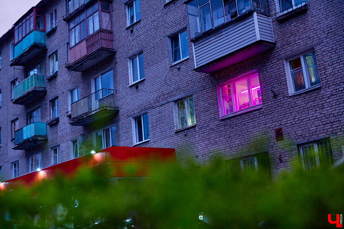 С приходом весны фиолетовые окна можно заметить почти в каждом многоэтажном доме. Кто их зажигает, а главное — зачем? «Ключ-Медиа» раскрывает все карты.