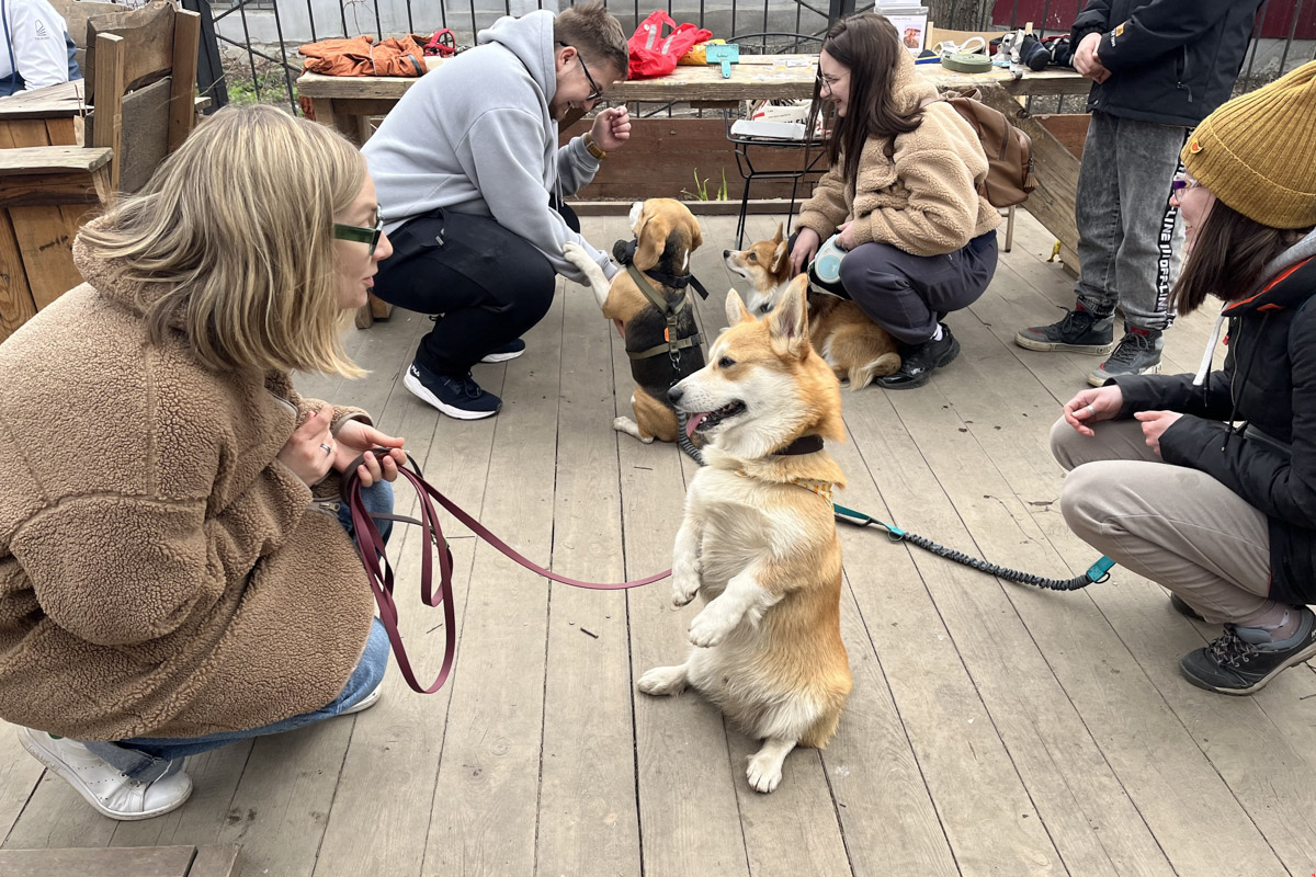 Какой была первая догсвоп-пати во Владимире, как изменится проект после дебюта? Рассказывает организатор Татьяна Ванькина