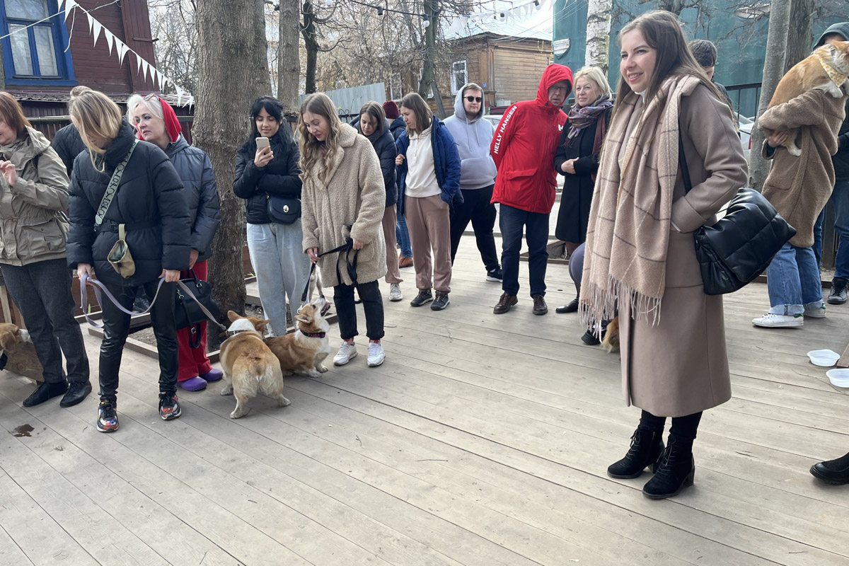 Какой была первая догсвоп-пати во Владимире, как изменится проект после дебюта? Рассказывает организатор Татьяна Ванькина