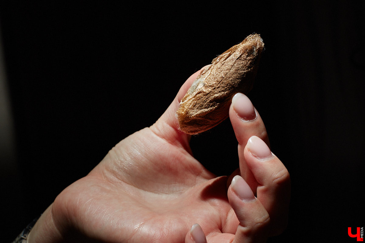 Юлия Титова с детства любит насекомых, но работает инженером. Необычное хобби позволяет ей просто отдыхать душой. Свою энтомологическую коллекцию девушка собирает уже 4 года, а этим летом мечтает заполучить совершенно новые и эксклюзивные виды крылатых красавиц.