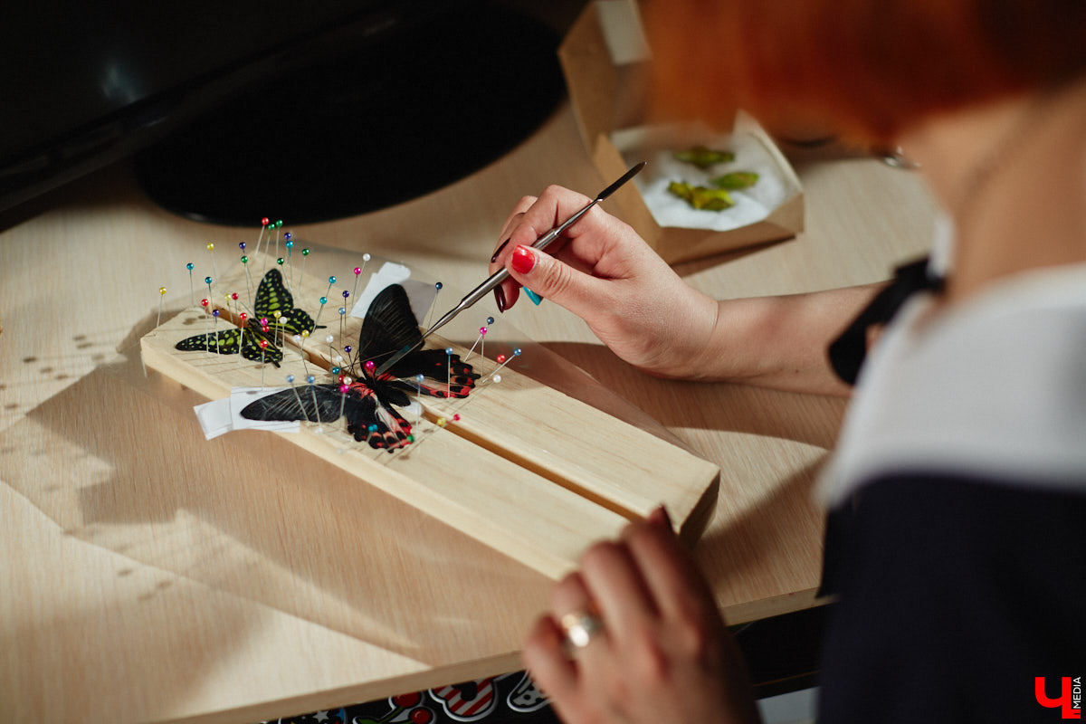 Юлия Титова с детства любит насекомых, но работает инженером. Необычное хобби позволяет ей просто отдыхать душой. Свою энтомологическую коллекцию девушка собирает уже 4 года, а этим летом мечтает заполучить совершенно новые и эксклюзивные виды крылатых красавиц.