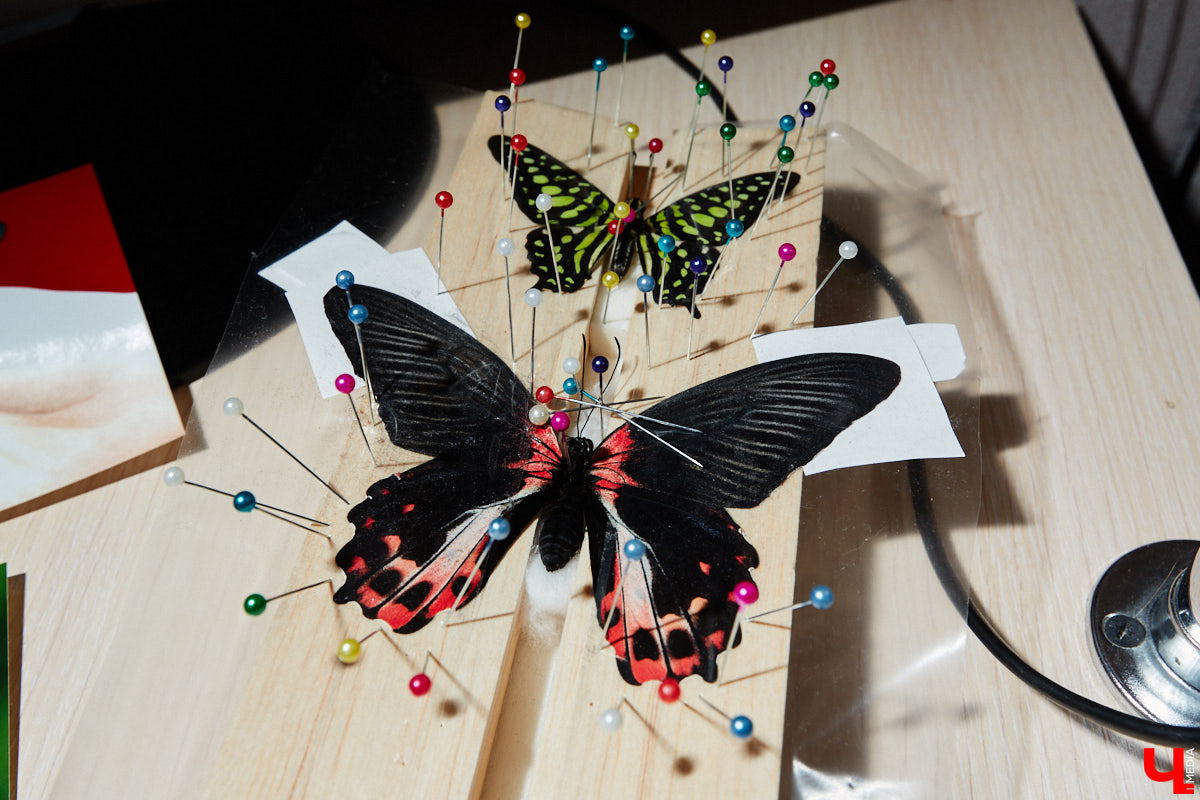 Юлия Титова с детства любит насекомых, но работает инженером. Необычное хобби позволяет ей просто отдыхать душой. Свою энтомологическую коллекцию девушка собирает уже 4 года, а этим летом мечтает заполучить совершенно новые и эксклюзивные виды крылатых красавиц.