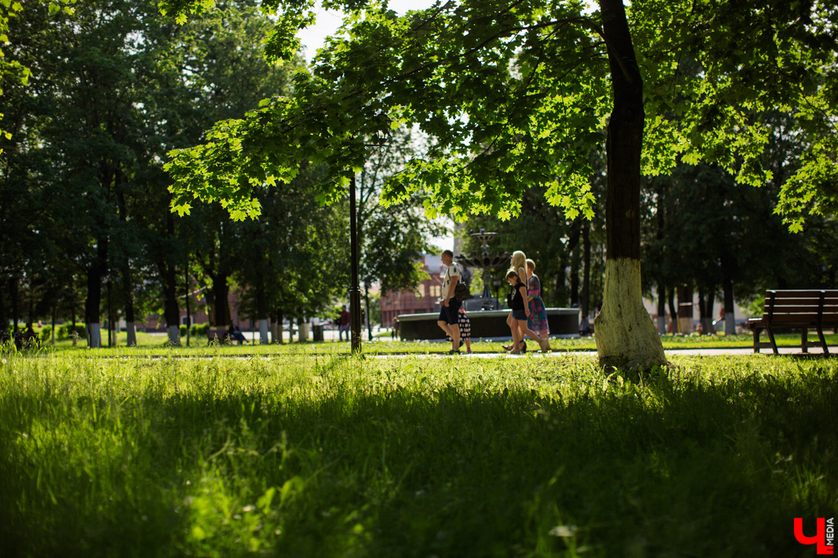 Шестого мая городские «Подслушано» стали публиковать фотографии: в дупле дерева одной из центральных и самых шумных локаций города, то есть парка Пушкина, поселилась утка. Прохожие активно интересуются представительницей дикой природы, хотя делать этого не стоит.