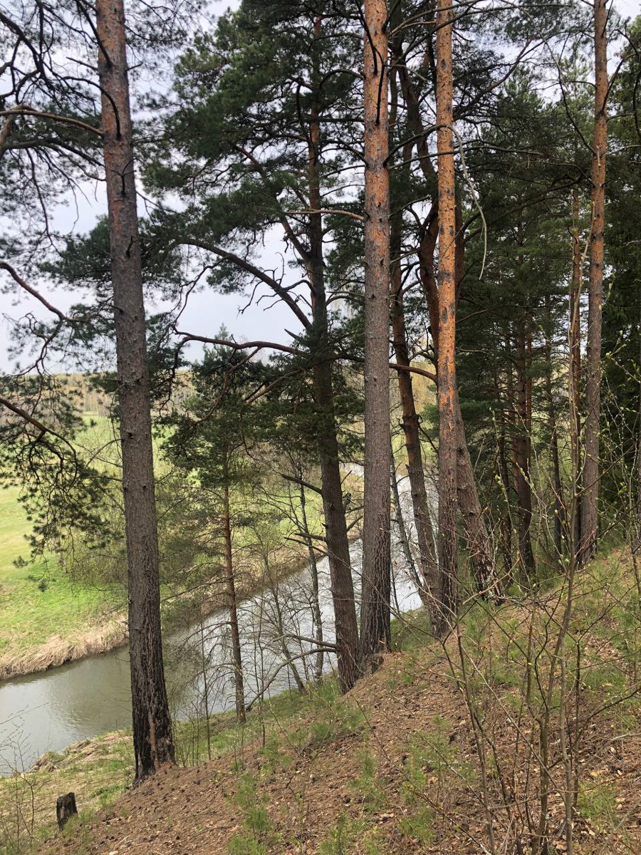 Событийный туризм год от года становится все более привлекательным. А те, кто всерьез заинтересован его развитием в нашем крае, предлагают необычные проекты для людей, которые выбирают нетривиальное развлечение и нескучное обучение.