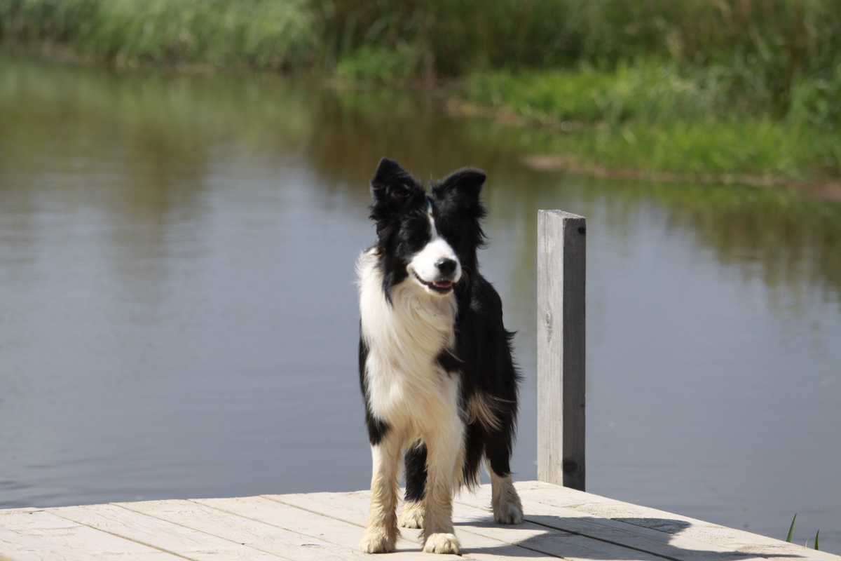 Событийный туризм год от года становится все более привлекательным. А те, кто всерьез заинтересован его развитием в нашем крае, предлагают необычные проекты для людей, которые выбирают нетривиальное развлечение и нескучное обучение.