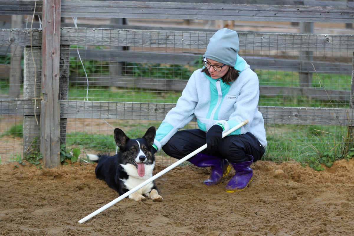 Событийный туризм год от года становится все более привлекательным. А те, кто всерьез заинтересован его развитием в нашем крае, предлагают необычные проекты для людей, которые выбирают нетривиальное развлечение и нескучное обучение.