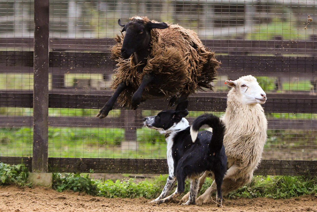 Событийный туризм год от года становится все более привлекательным. А те, кто всерьез заинтересован его развитием в нашем крае, предлагают необычные проекты для людей, которые выбирают нетривиальное развлечение и нескучное обучение.