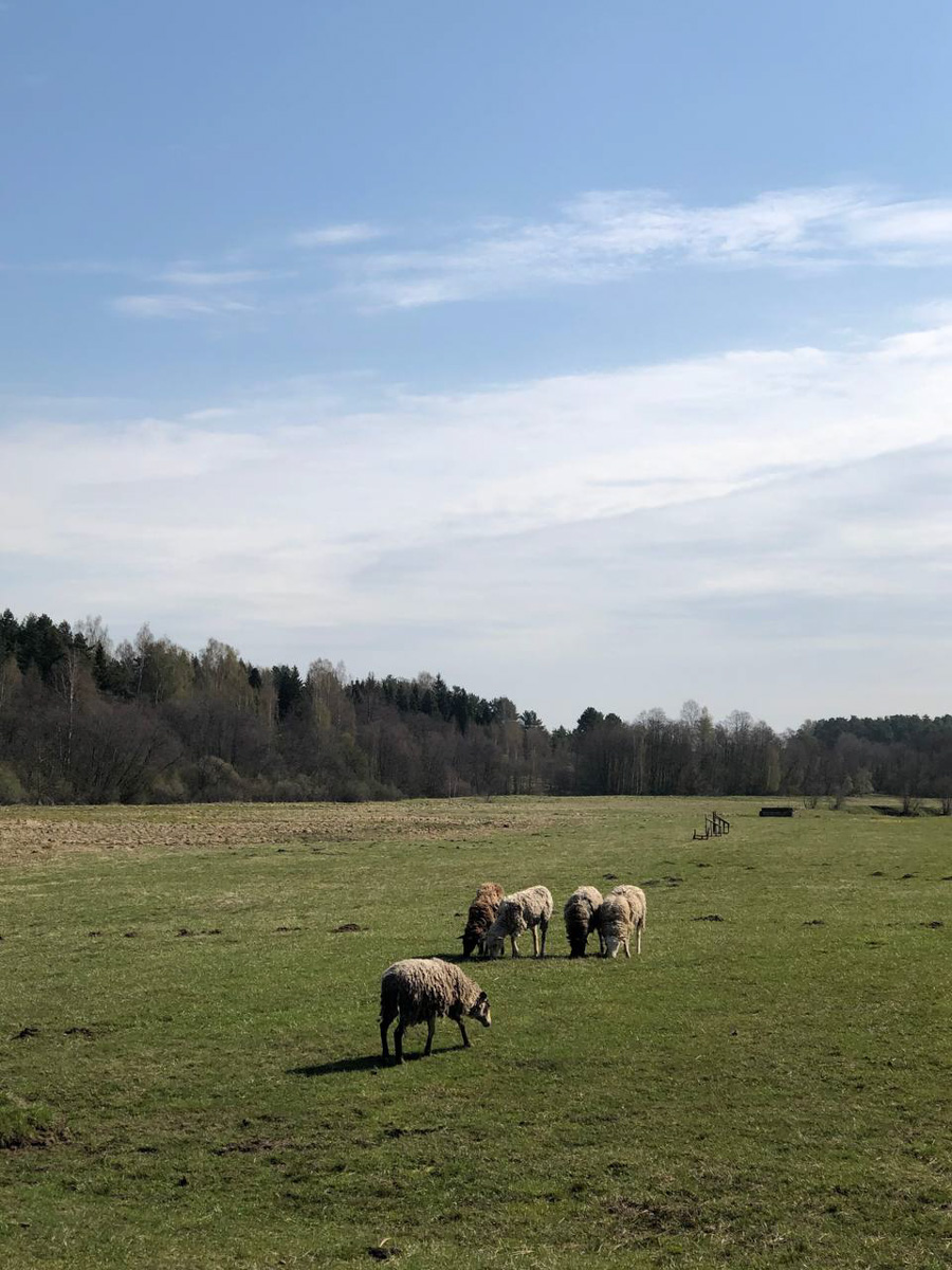 Событийный туризм год от года становится все более привлекательным. А те, кто всерьез заинтересован его развитием в нашем крае, предлагают необычные проекты для людей, которые выбирают нетривиальное развлечение и нескучное обучение.