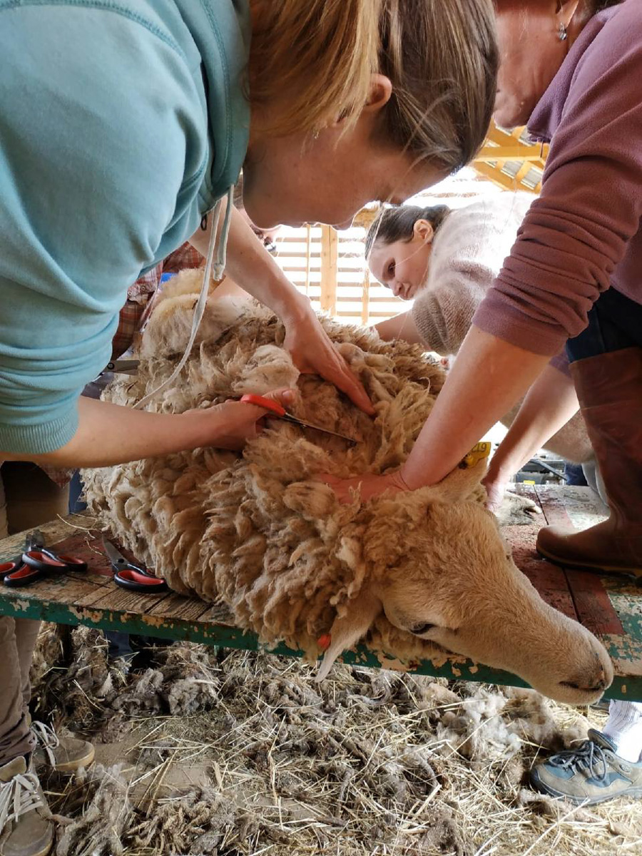 Событийный туризм год от года становится все более привлекательным. А те, кто всерьез заинтересован его развитием в нашем крае, предлагают необычные проекты для людей, которые выбирают нетривиальное развлечение и нескучное обучение.