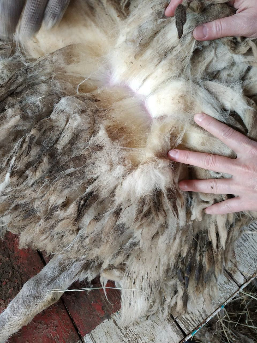 Событийный туризм год от года становится все более привлекательным. А те, кто всерьез заинтересован его развитием в нашем крае, предлагают необычные проекты для людей, которые выбирают нетривиальное развлечение и нескучное обучение.