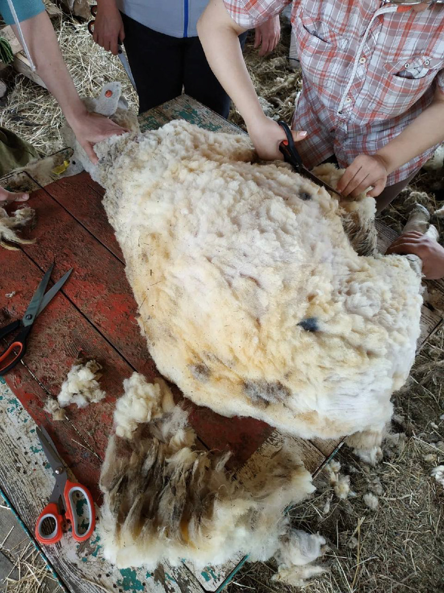 Событийный туризм год от года становится все более привлекательным. А те, кто всерьез заинтересован его развитием в нашем крае, предлагают необычные проекты для людей, которые выбирают нетривиальное развлечение и нескучное обучение.