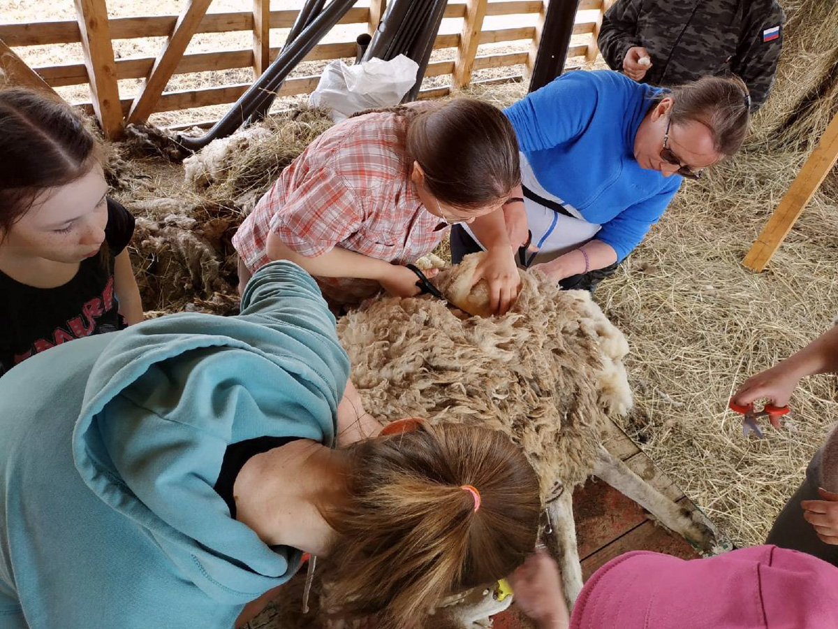 Событийный туризм год от года становится все более привлекательным. А те, кто всерьез заинтересован его развитием в нашем крае, предлагают необычные проекты для людей, которые выбирают нетривиальное развлечение и нескучное обучение.