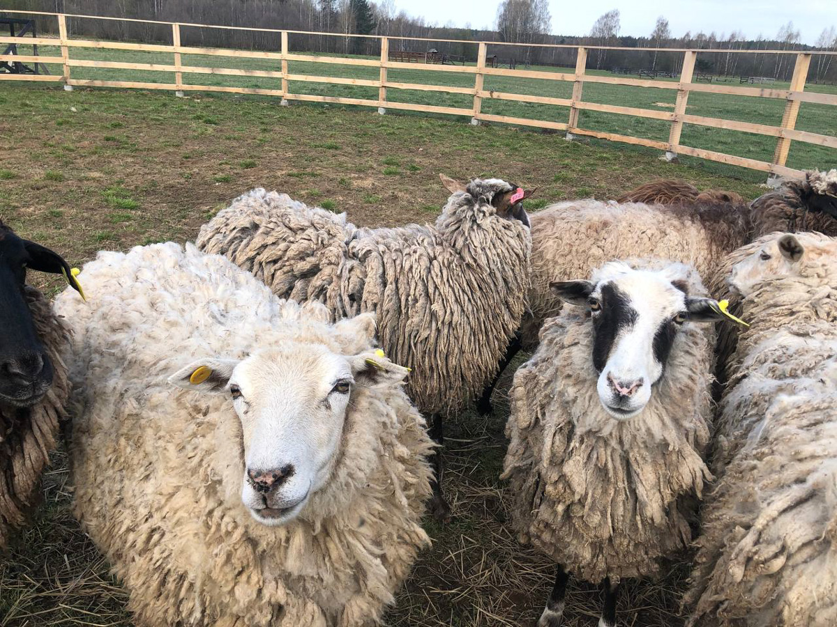 Событийный туризм год от года становится все более привлекательным. А те, кто всерьез заинтересован его развитием в нашем крае, предлагают необычные проекты для людей, которые выбирают нетривиальное развлечение и нескучное обучение.