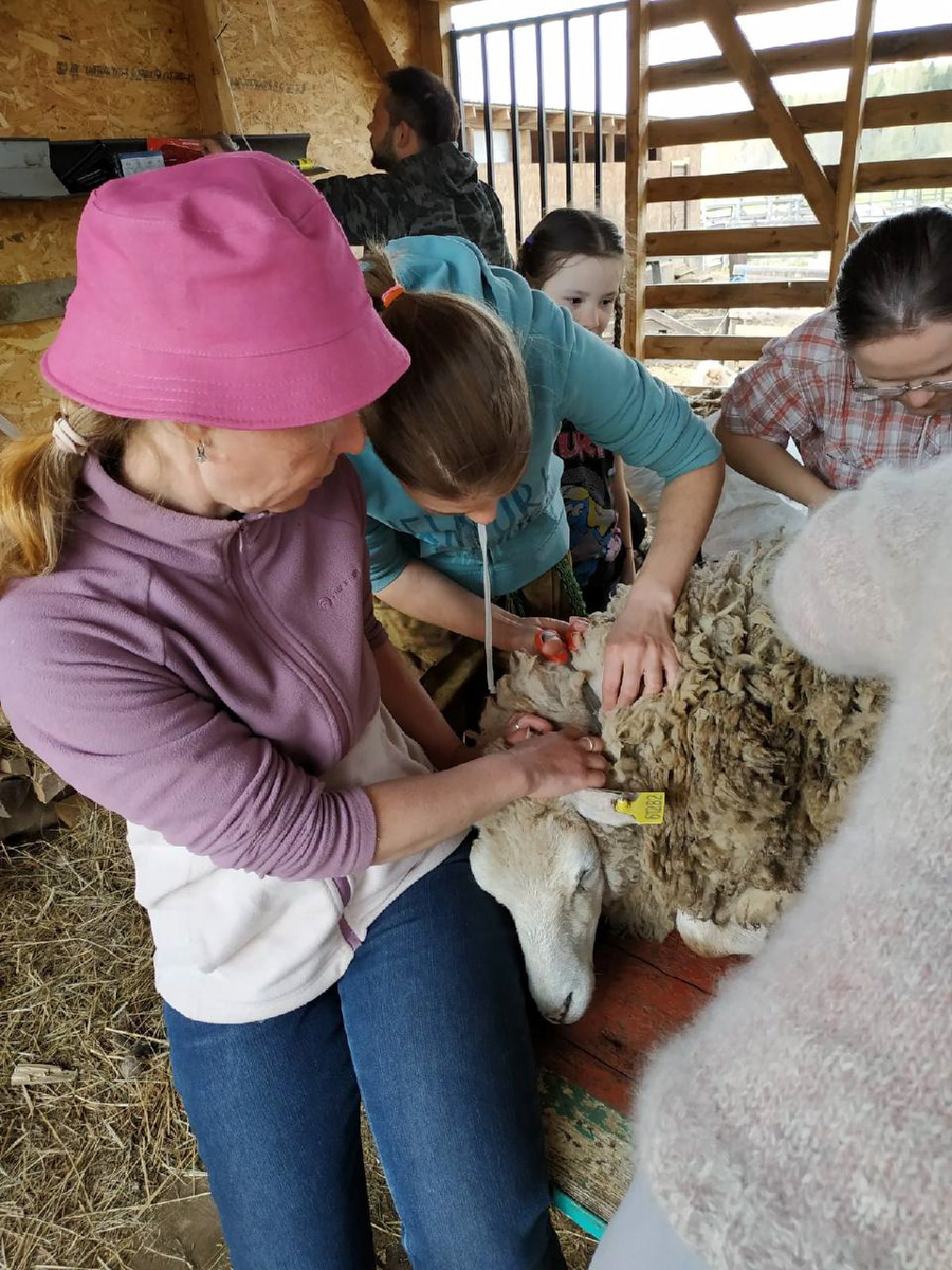 Событийный туризм год от года становится все более привлекательным. А те, кто всерьез заинтересован его развитием в нашем крае, предлагают необычные проекты для людей, которые выбирают нетривиальное развлечение и нескучное обучение.