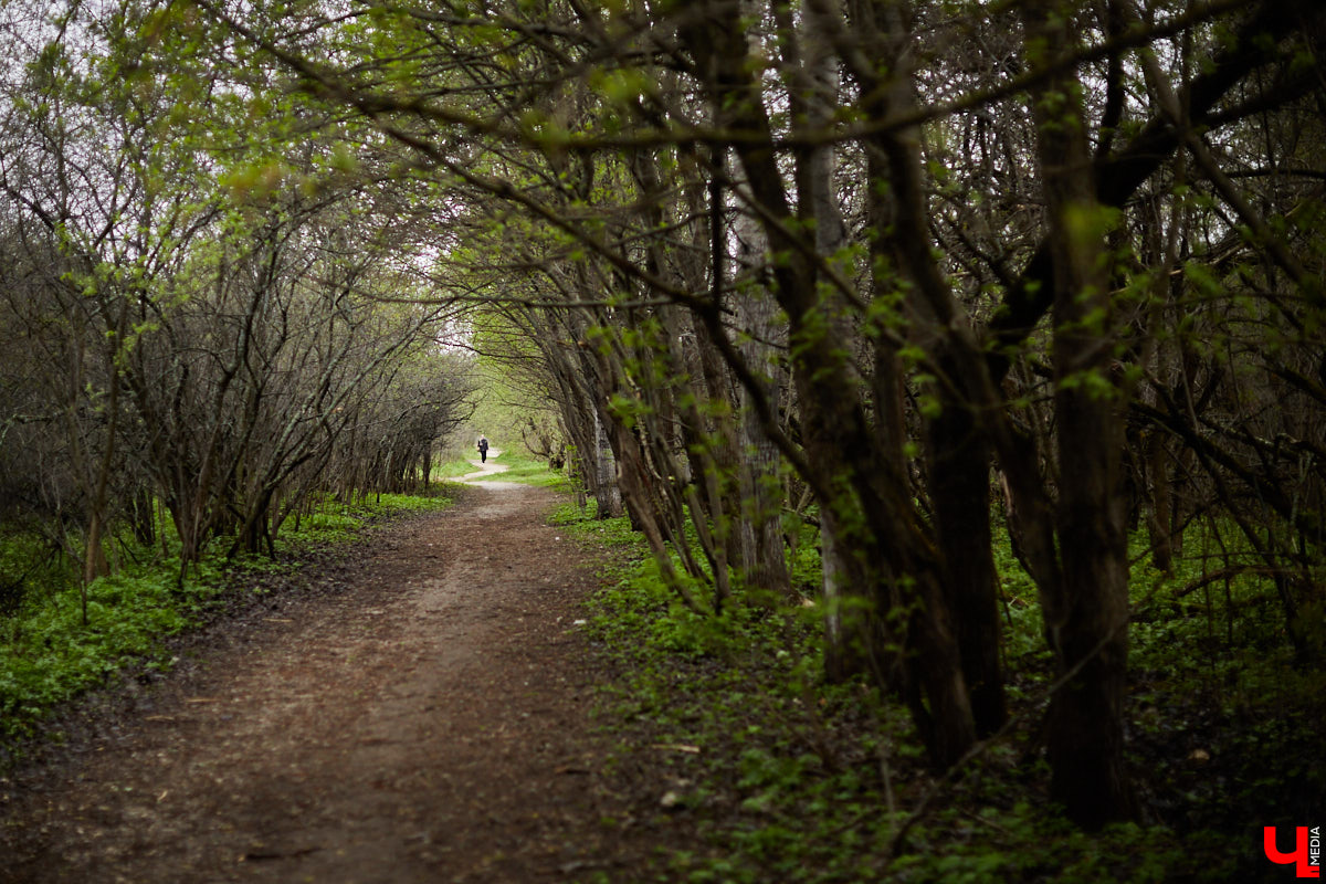 Хотите заняться бегом, но не знаете, где это лучше сделать? В преддверии лета «Ключ-Медиа» совместно с профессиональным марафонцем Артемом Куфтыревым собрал топ актуальных маршрутов для самых быстрых.