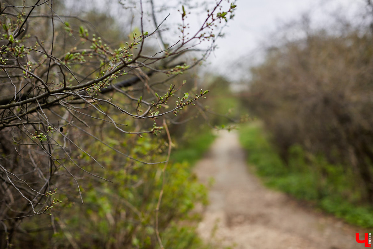 «Ключ-Медиа» собрал для вас обзор городских благоустройств с отремонтированными дворами, зелеными зонами, новыми локациями для отдыха и сотнями тысяч цветов!
