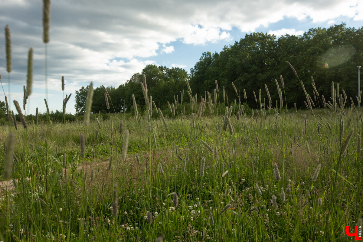 Сегодня Владимирская область в седьмой раз присоединилась к акции «Марш парков», в рамках которой открывается кольцевой экологический маршрут «Тропа Дружбы». Читайте нашу статью о новой прогулочной локации в любимом лесопарке.
