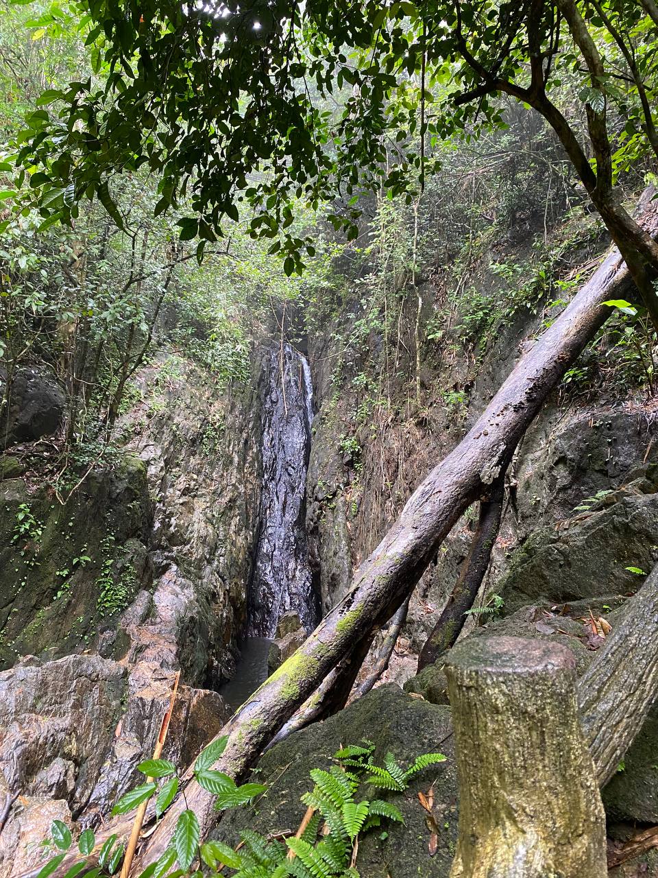 Представьте, что фирма, где вы работаете, решила временно переехать в Таиланд. Кто из сотрудников откажется от предложения пожить в другой стране? Уж точно не разработчик программного обеспечения Денис Овсянников! Он-то и рассказал нам о том, как обжился в тропическом местечке.
