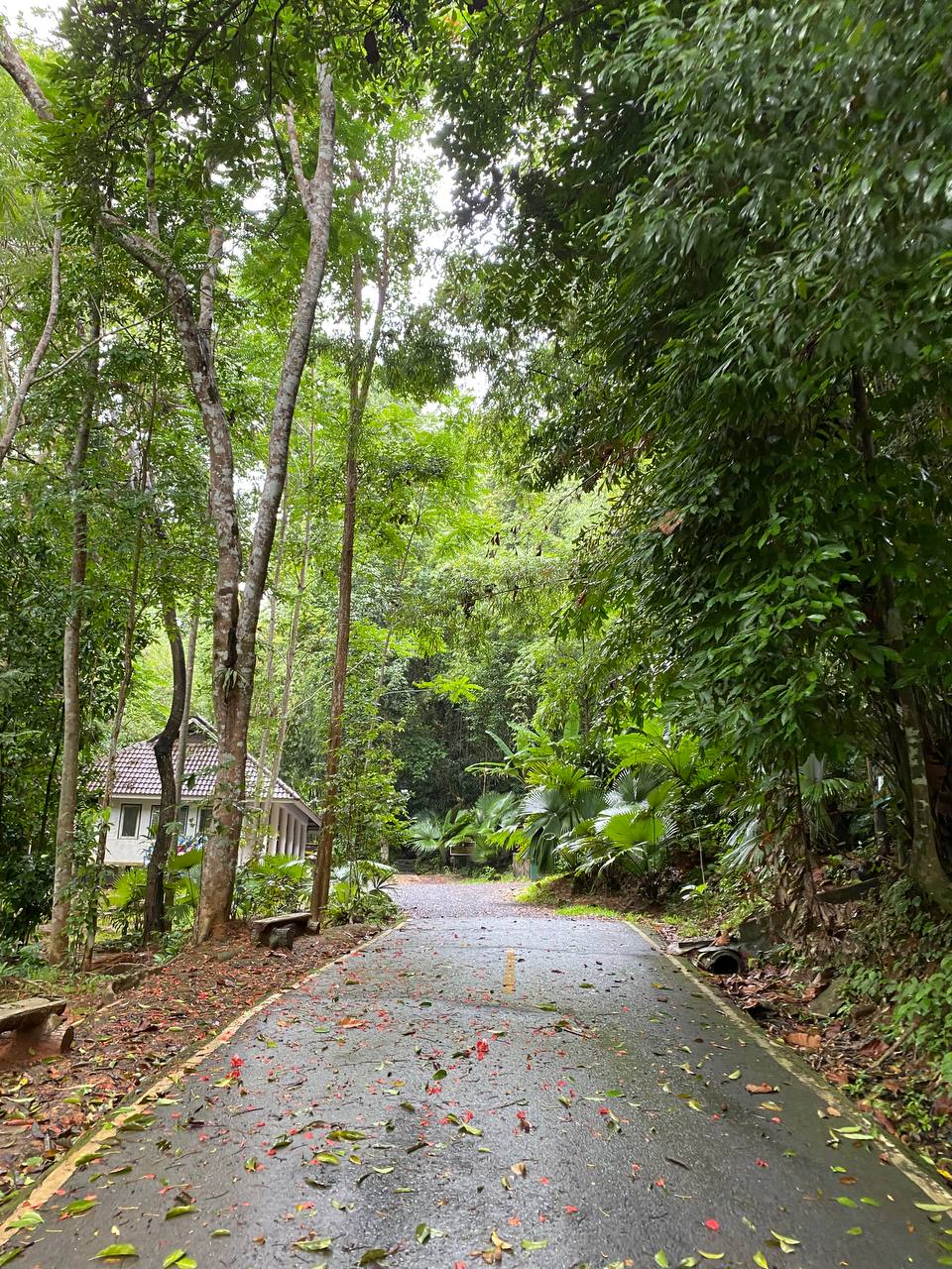 Представьте, что фирма, где вы работаете, решила временно переехать в Таиланд. Кто из сотрудников откажется от предложения пожить в другой стране? Уж точно не разработчик программного обеспечения Денис Овсянников! Он-то и рассказал нам о том, как обжился в тропическом местечке.