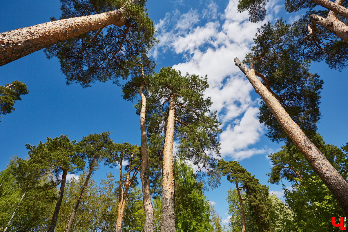Куда податься уставшей душе в поисках покоя? Народный экскурсовод Татьяна Лысова рассказывает о своих любимых улочках, где можно легко расслабиться, отринуть суету будних дней и где открытия ждут буквально за каждым углом.