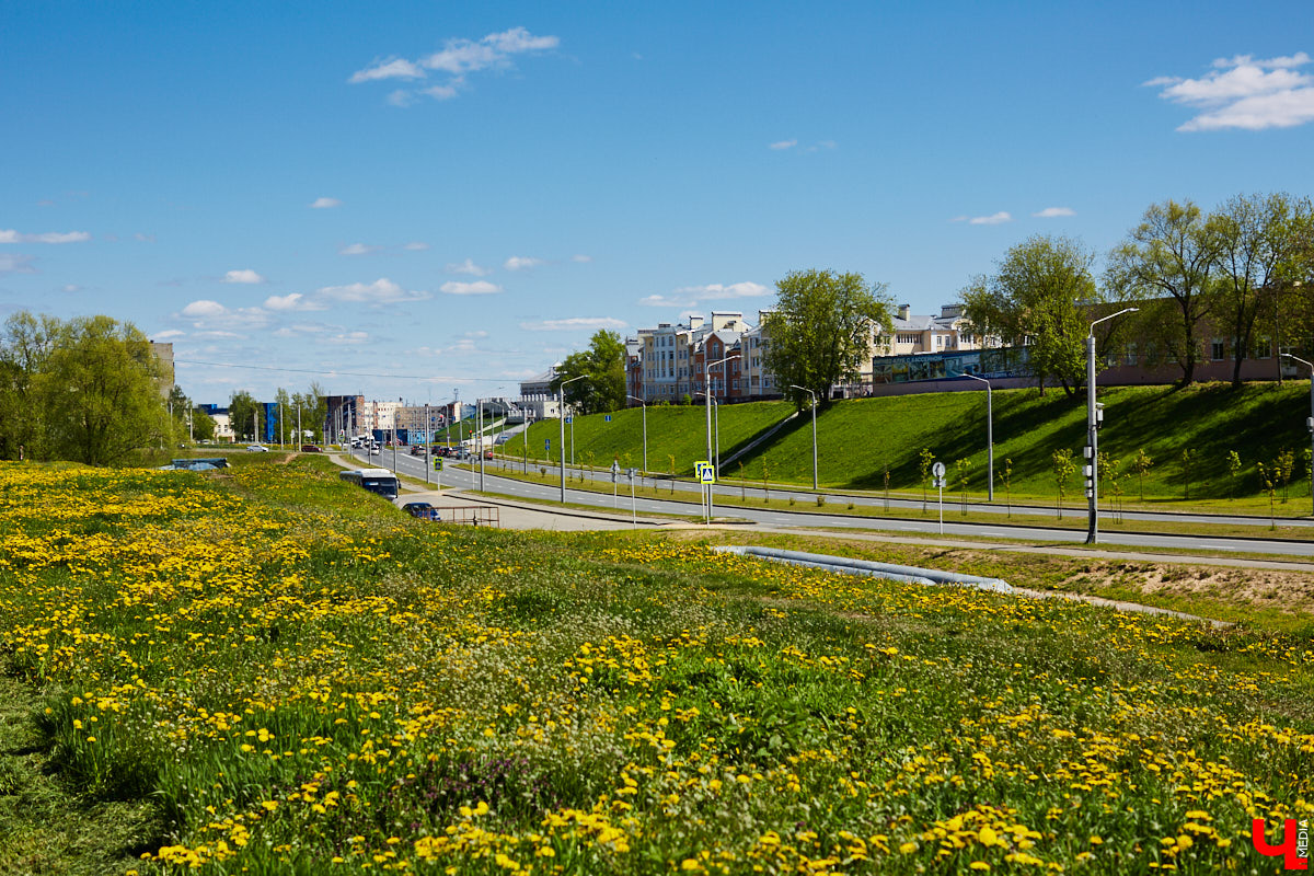 Куда податься уставшей душе в поисках покоя? Народный экскурсовод Татьяна Лысова рассказывает о своих любимых улочках, где можно легко расслабиться, отринуть суету будних дней и где открытия ждут буквально за каждым углом.