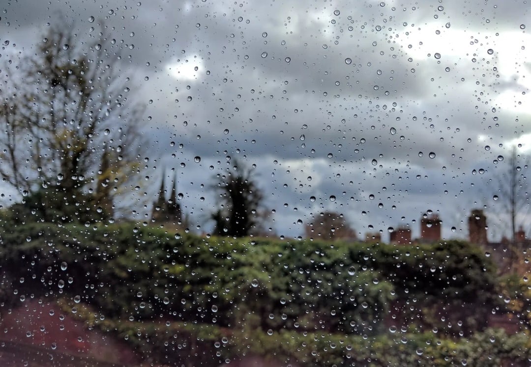 За неделю до начала лета в областном центре выпал снег. Владимирцы достали телефоны и засняли неожиданное явление. Итак, майский снегопад в фотографиях и шутках местных жителей.