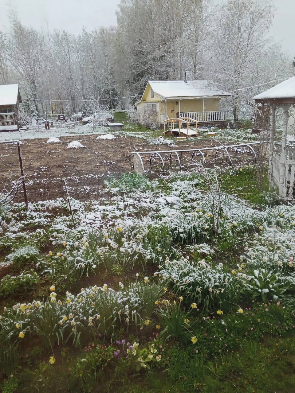 За неделю до начала лета в областном центре выпал снег. Владимирцы достали телефоны и засняли неожиданное явление. Итак, майский снегопад в фотографиях и шутках местных жителей.