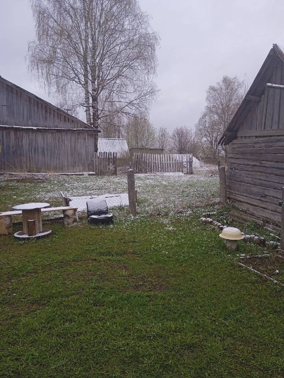 За неделю до начала лета в областном центре выпал снег. Владимирцы достали телефоны и засняли неожиданное явление. Итак, майский снегопад в фотографиях и шутках местных жителей.
