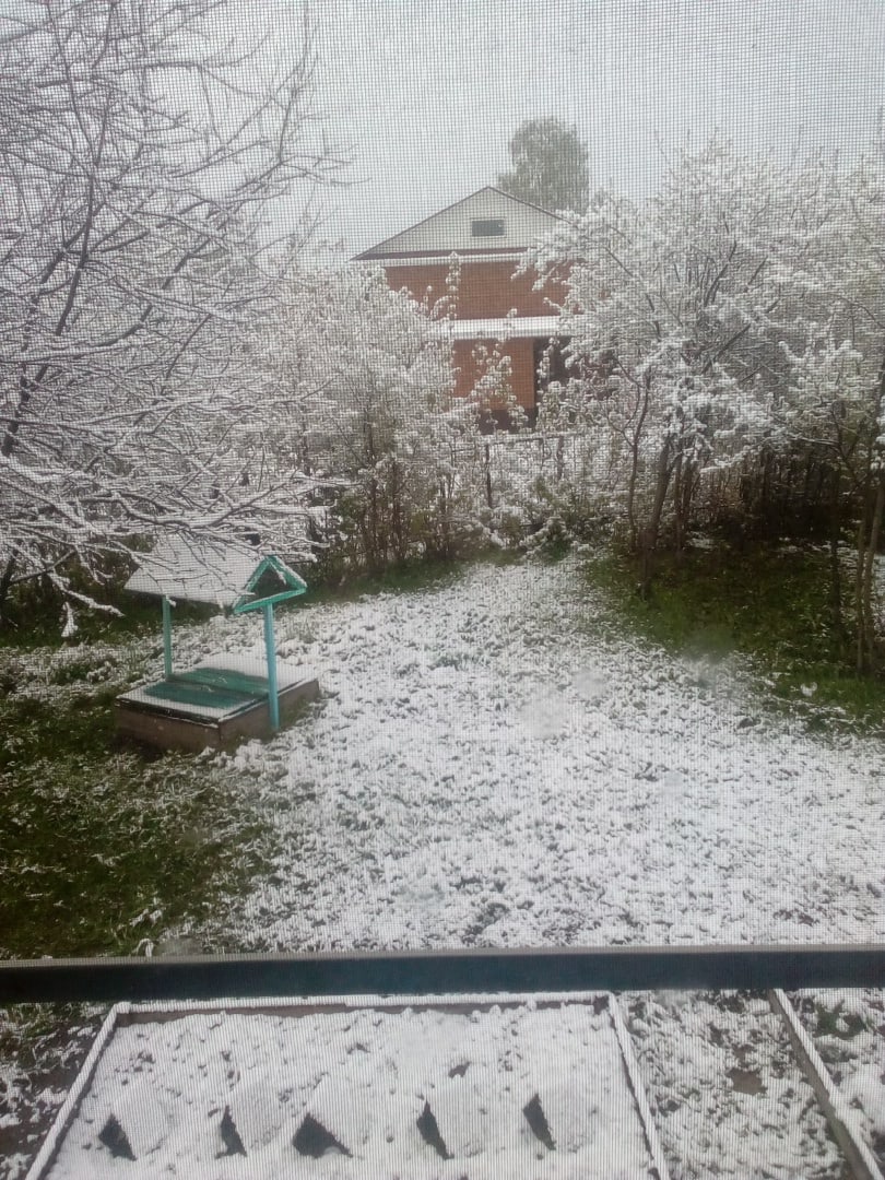 За неделю до начала лета в областном центре выпал снег. Владимирцы достали телефоны и засняли неожиданное явление. Итак, майский снегопад в фотографиях и шутках местных жителей.