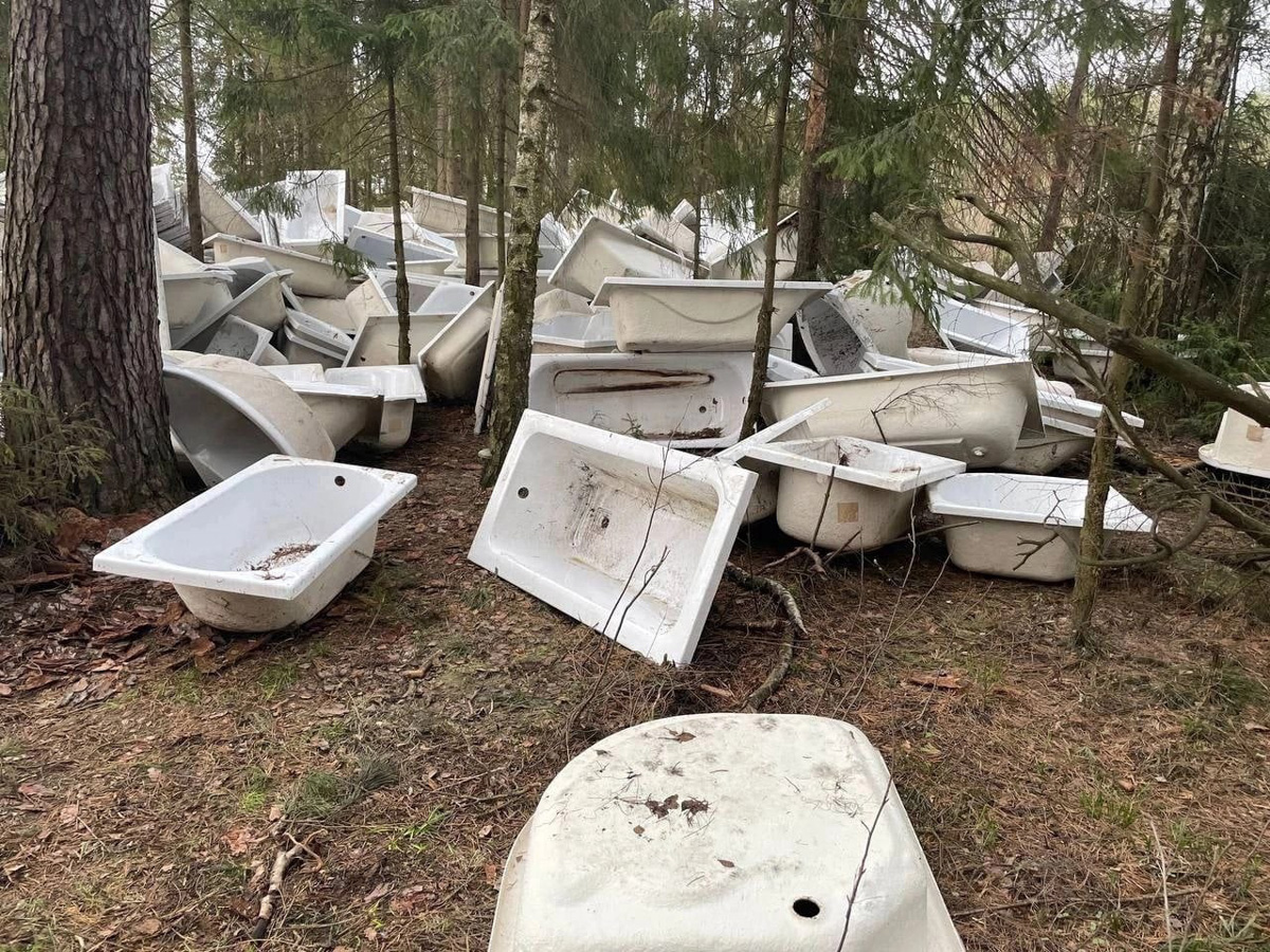 Каких только чудес не найдешь на просторах нашей малой родины. Тут тебе и секс-шоп в чистом поле, и «автопортрет» Дали на гаражных воротах, и развалы брошенных ванн и автобусов. Так что, присаживайтесь поудобнее и смотрите, что интересного не так давно обнаружили жители 33-го региона.