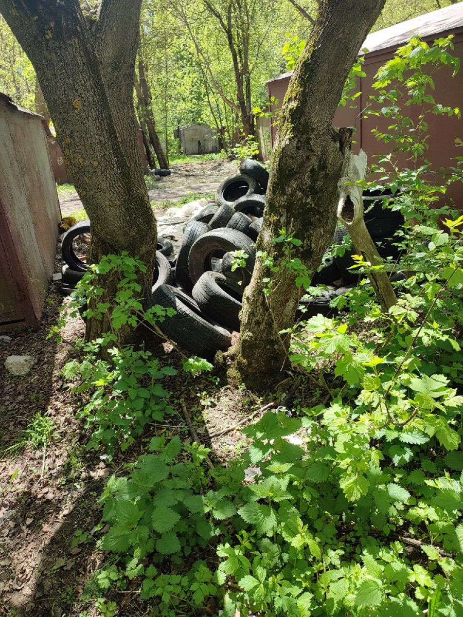 Каких только чудес не найдешь на просторах нашей малой родины. Тут тебе и секс-шоп в чистом поле, и «автопортрет» Дали на гаражных воротах, и развалы брошенных ванн и автобусов. Так что, присаживайтесь поудобнее и смотрите, что интересного не так давно обнаружили жители 33-го региона.