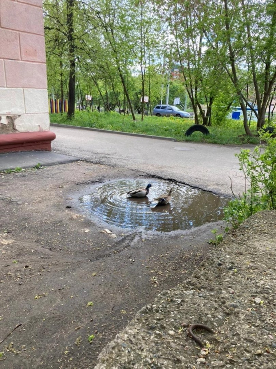 Каких только чудес не найдешь на просторах нашей малой родины. Тут тебе и секс-шоп в чистом поле, и «автопортрет» Дали на гаражных воротах, и развалы брошенных ванн и автобусов. Так что, присаживайтесь поудобнее и смотрите, что интересного не так давно обнаружили жители 33-го региона.