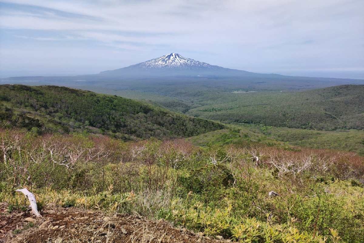 Житель Вязников выиграл путешествие на Сахалин и Курильские острова. За приключение за тысячи километров молодой человек не заплатил ни рубля. Как это возможно, и кому доступен бесплатный тур по России? Рассказываем о проекте, который готов открыть нашу страну по-новому.