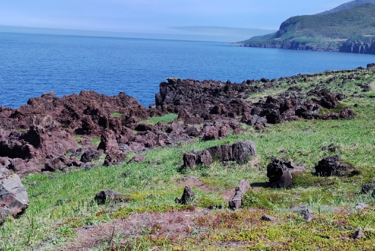 Житель Вязников выиграл путешествие на Сахалин и Курильские острова. За приключение за тысячи километров молодой человек не заплатил ни рубля. Как это возможно, и кому доступен бесплатный тур по России? Рассказываем о проекте, который готов открыть нашу страну по-новому.