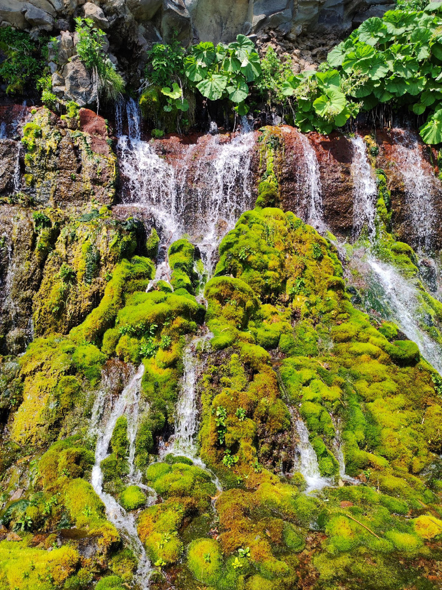 Житель Вязников выиграл путешествие на Сахалин и Курильские острова. За приключение за тысячи километров молодой человек не заплатил ни рубля. Как это возможно, и кому доступен бесплатный тур по России? Рассказываем о проекте, который готов открыть нашу страну по-новому.