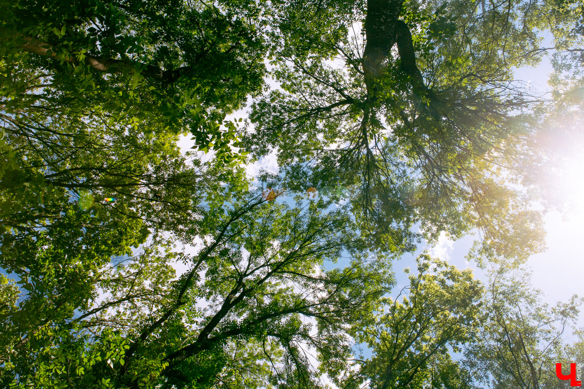 Хотите услышать три самых главных слова? Первое июня наступило! Поздравляем всех с приходом красного лета и спешим рассказать, какой погодой оно порадует нас в этом году.